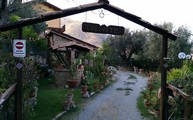 L'Uliveto